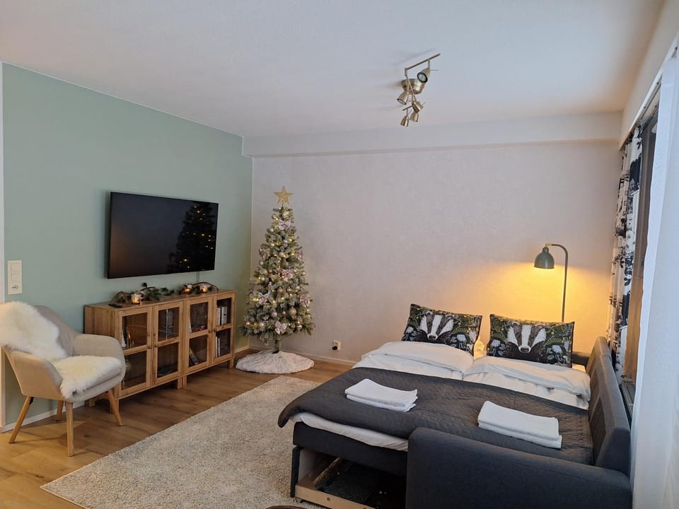Bed, TV and multimedia, Living room
