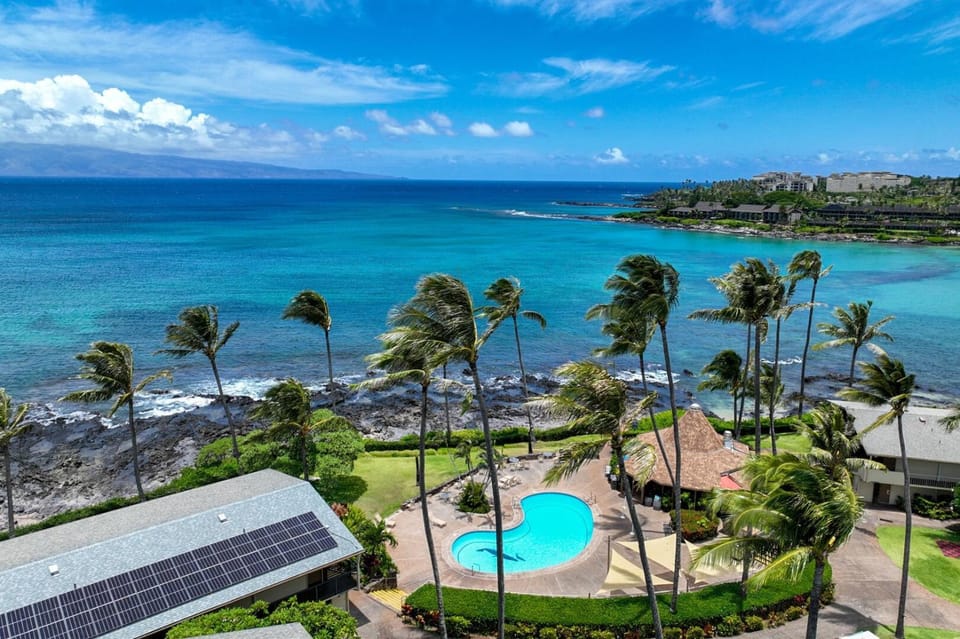 Napili Shores E135 Apartment in Kapalua