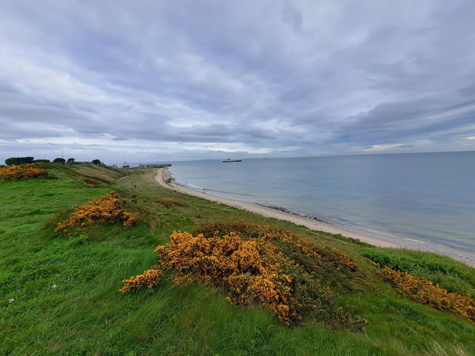 The Nest Number 3 Apartment in Ireland