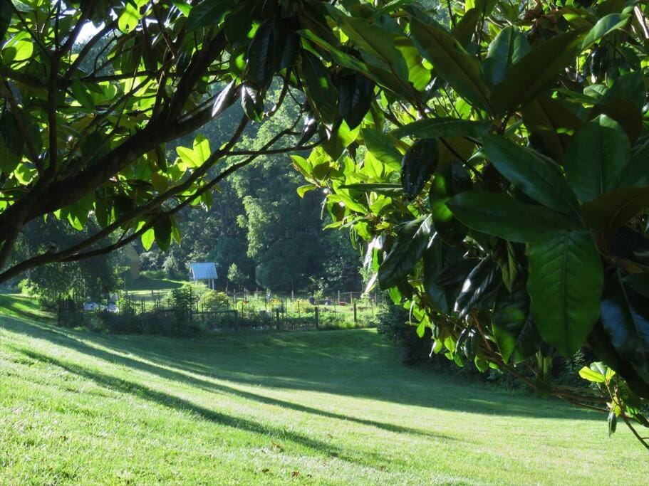 Natural landscape