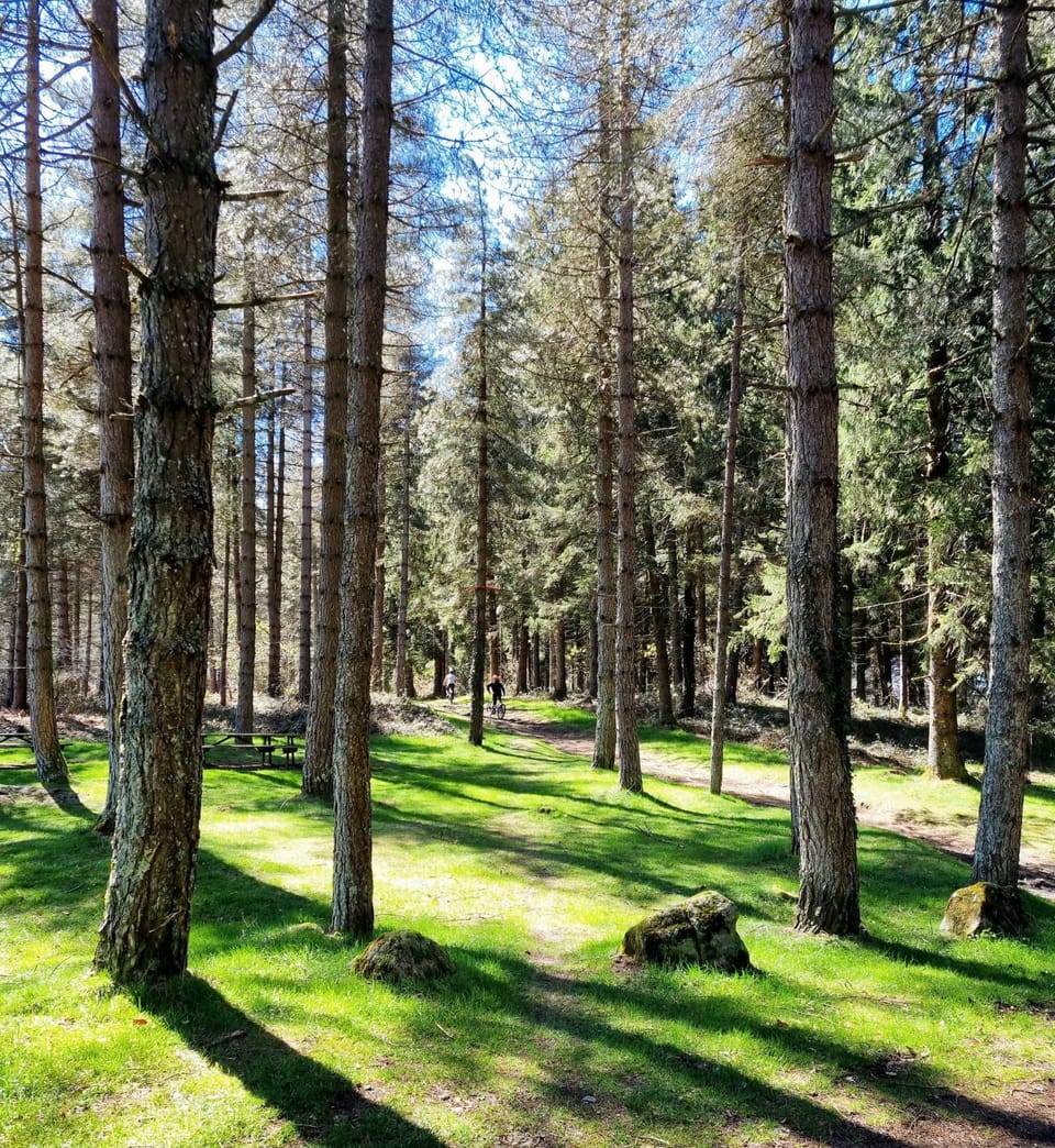 Natural landscape