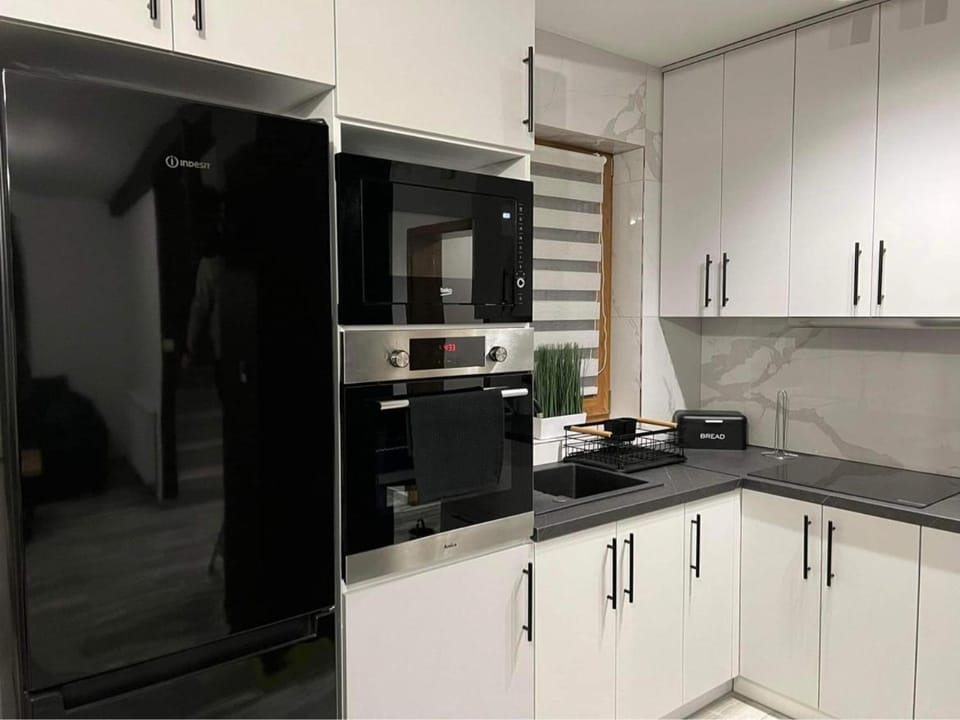 Kitchen or kitchenette, dishwasher, stove