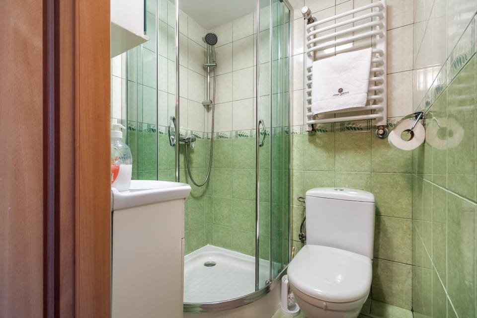 Shower, Toilet, Bathroom, towels