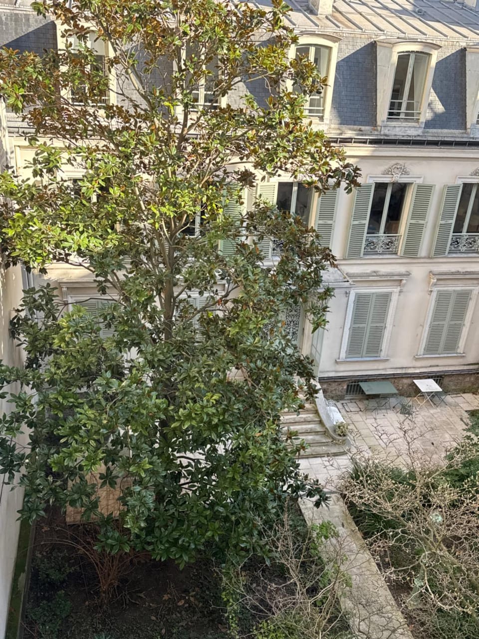 Garden view