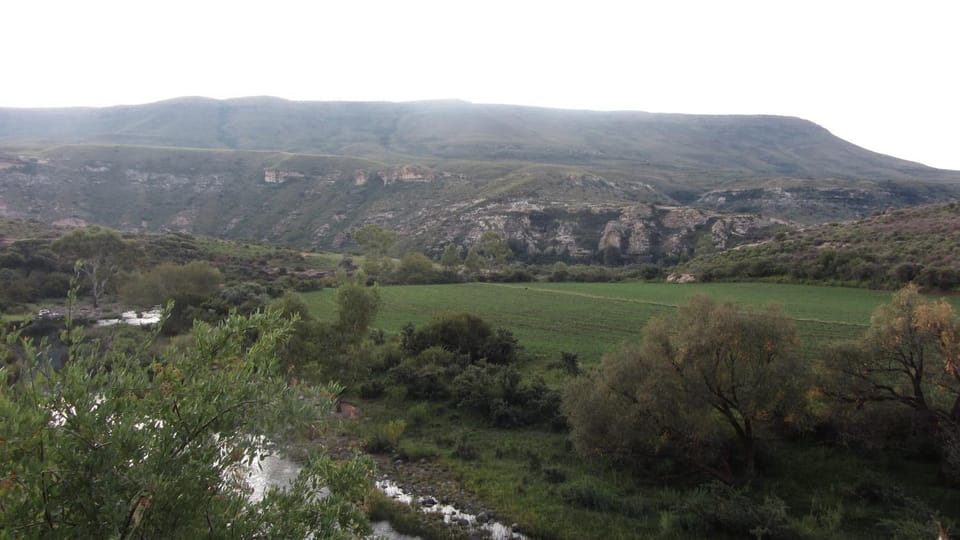 Natural landscape, River view