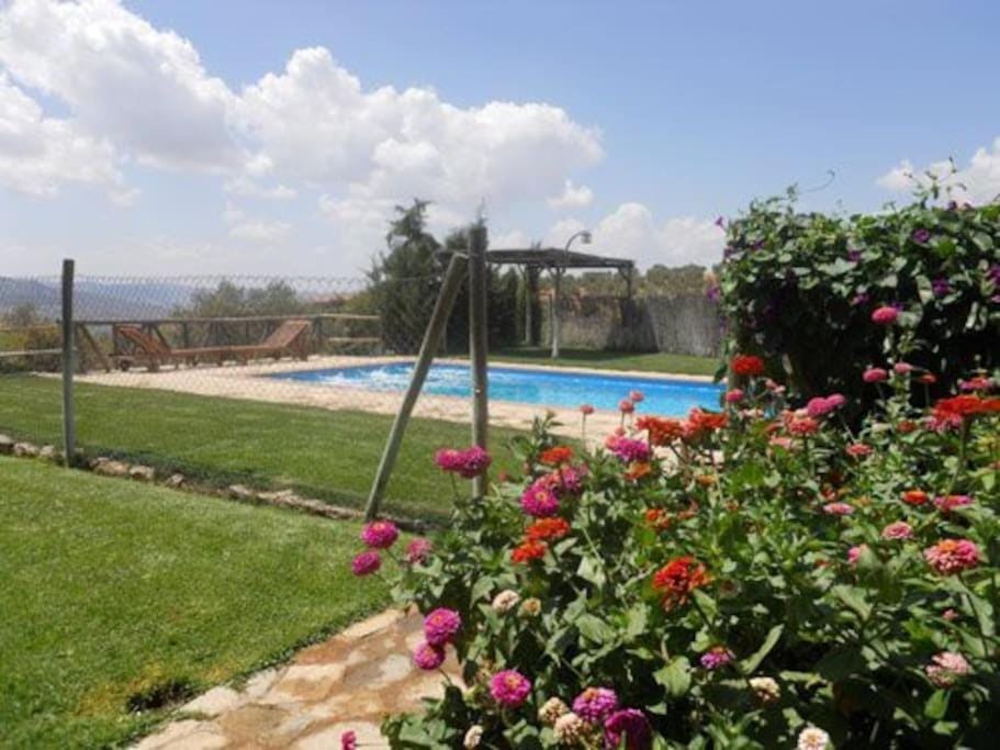 Cortijo el Morrón - Casa Rural Chalet in Andalusia
