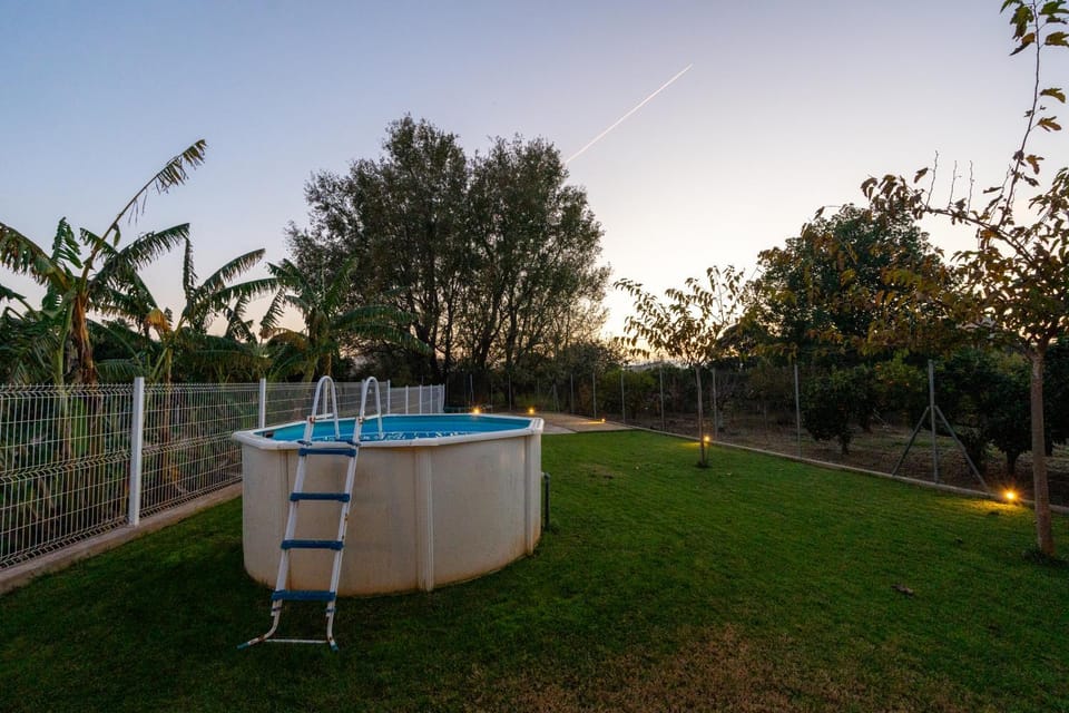 Day, Natural landscape, Garden, Garden view, Pool view, Swimming pool
