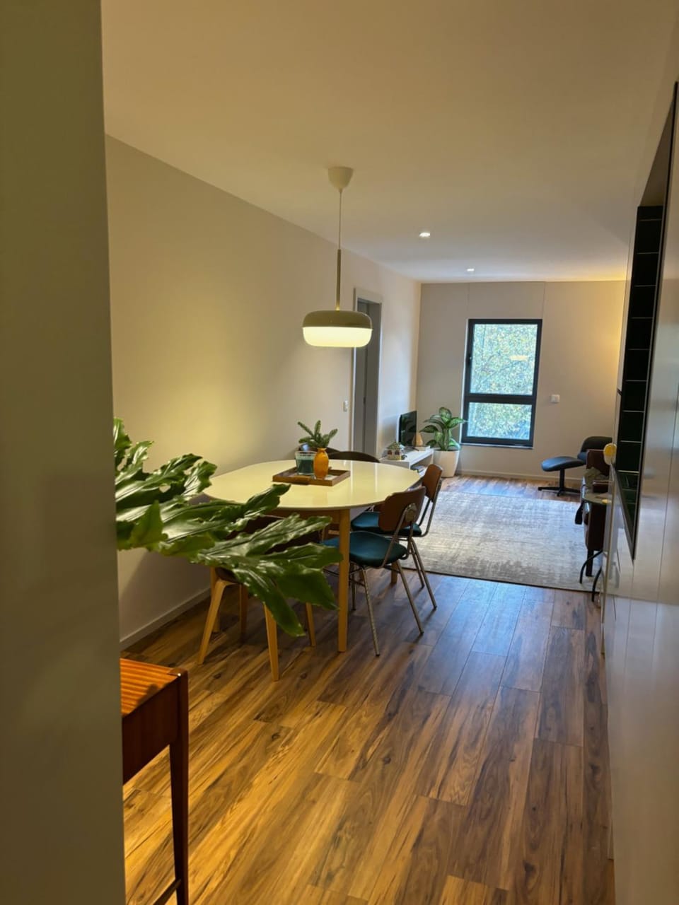 Three Little Birds Apartment in Guimaraes