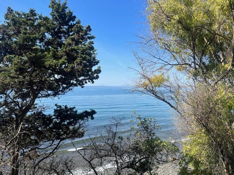 Apartment with roof terrace in the historic center Apartment in Estepona