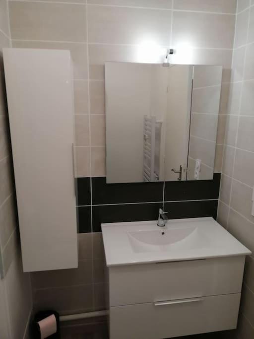 Saint-Brieuc centre superbe appartement Apartment in Brittany