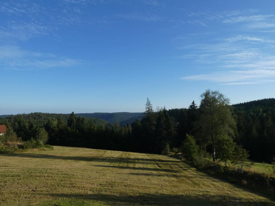 Naturapartment SCHWARZWALDSEELE Kniebis Apartment in Ortenau