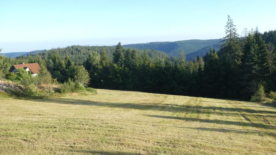 Naturapartment SCHWARZWALDSEELE Kniebis Apartment in Ortenau