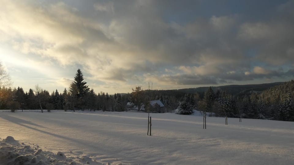 Naturapartment SCHWARZWALDSEELE Kniebis Apartment in Ortenau
