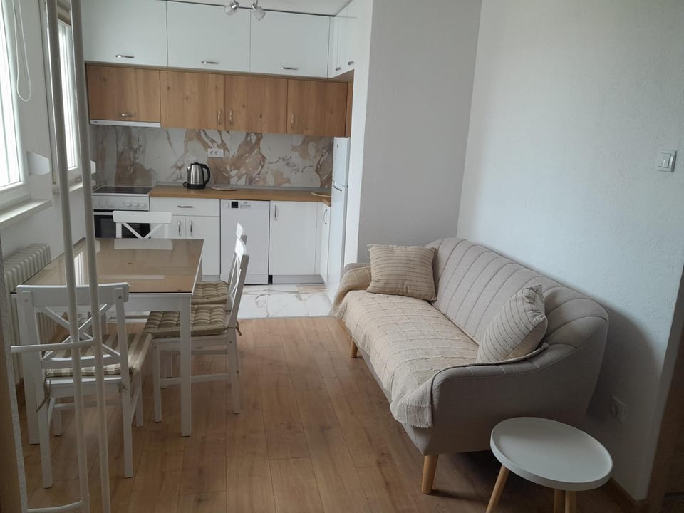 Kitchen or kitchenette, Living room, oven, stove