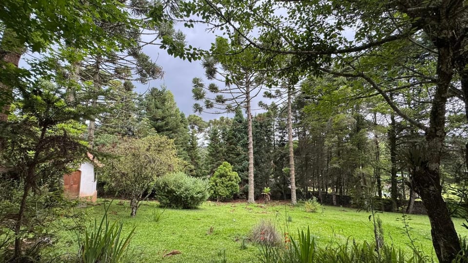 Natural landscape, Garden view