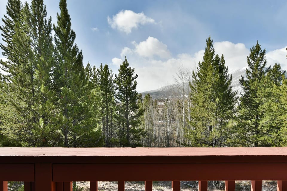 Prospect Point Retreat: Lakeside Townhome, Mountain Views Apartment in Frisco