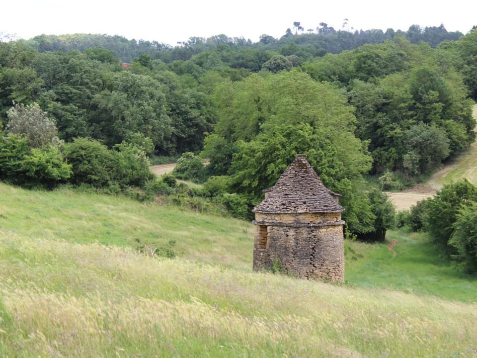 Charmante maison rustique en pierres, proche de Sarlat - FR-1-616-385 House in Occitanie