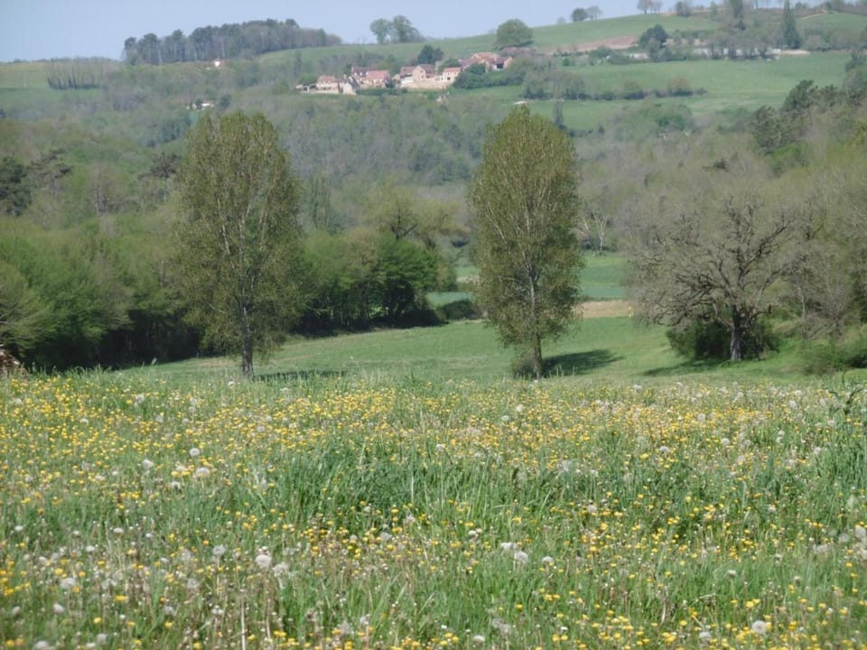 Maison rustique en pierres proche de Sarlat, jardin, 6 pers. - FR-1-616-394 House in Nouvelle-Aquitaine