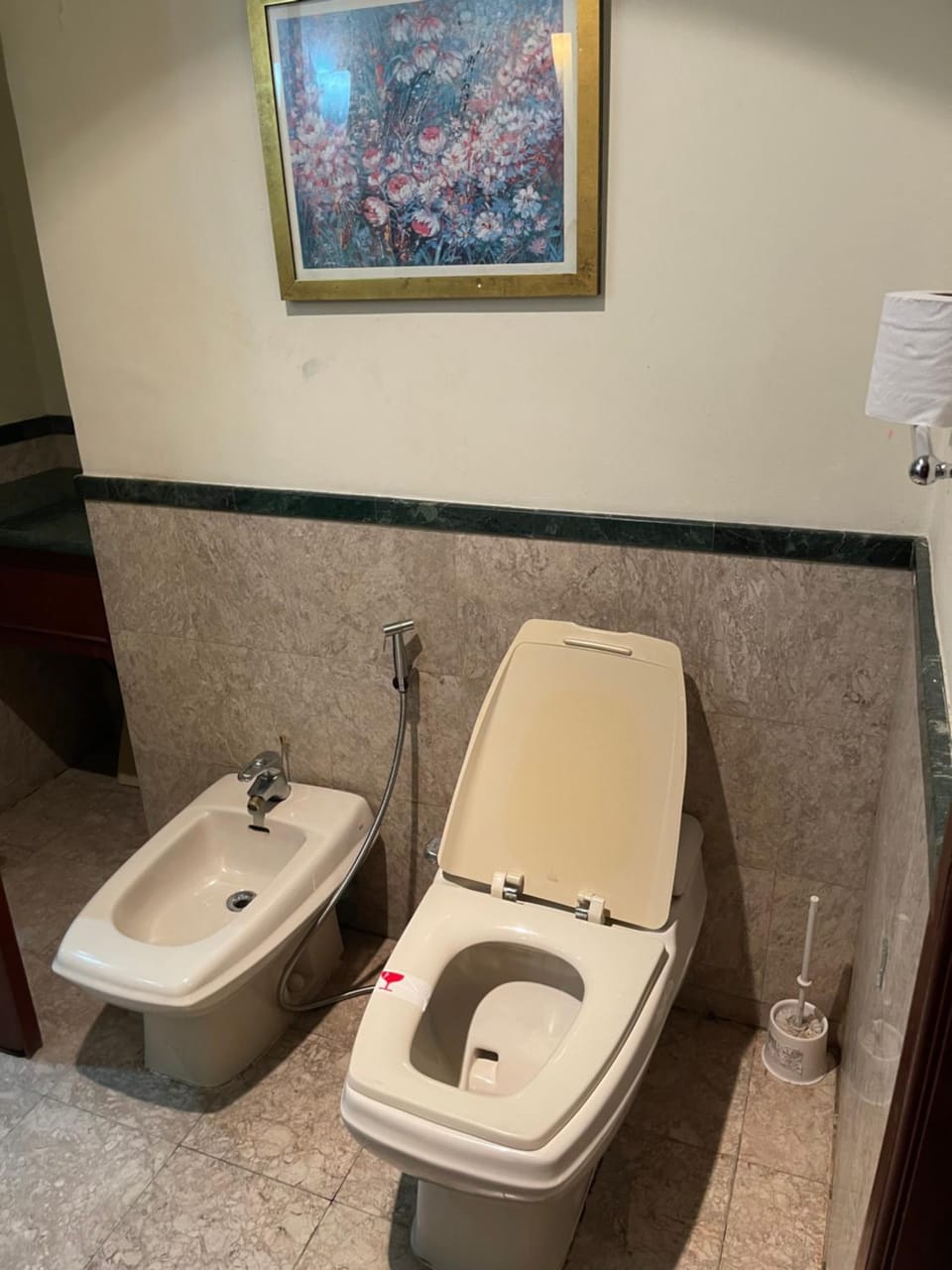 Toilet