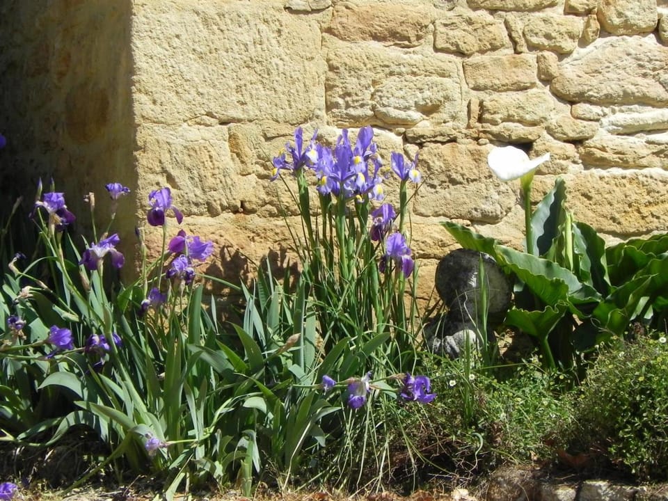 Maison en Dordogne avec Wifi et vélos, proche sites touristiques - FR-1-616-409 House in Occitanie