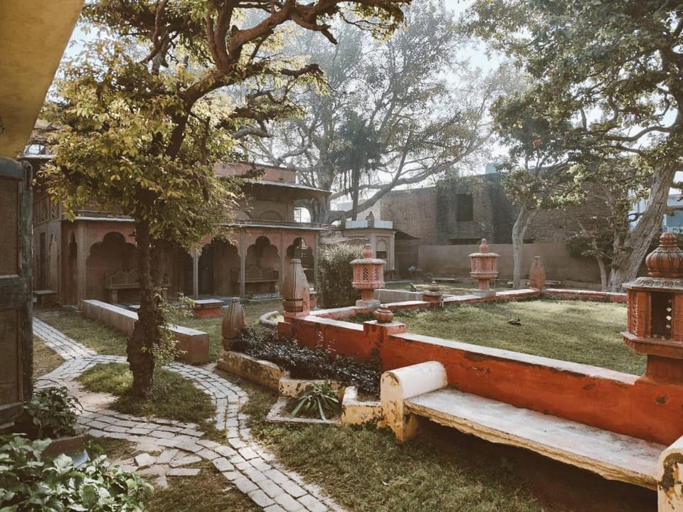 Garden