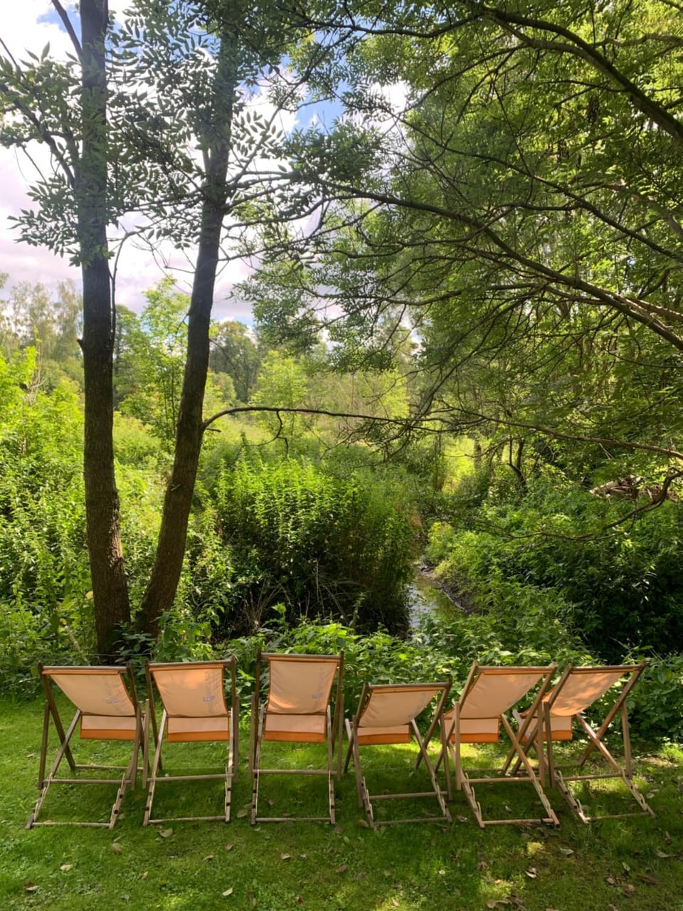Natural landscape, Garden, Garden view, sunbed