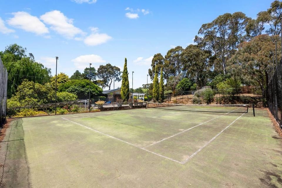 Tennis court