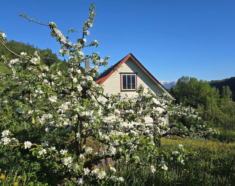 Property building, Spring, Garden