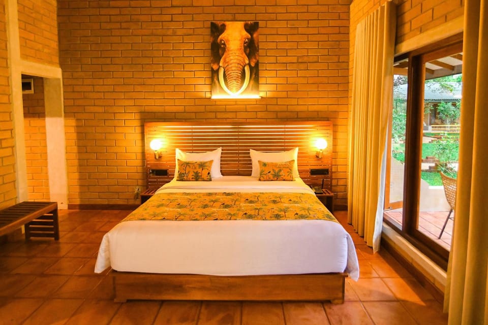 Bed, Photo of the whole room, Bedroom