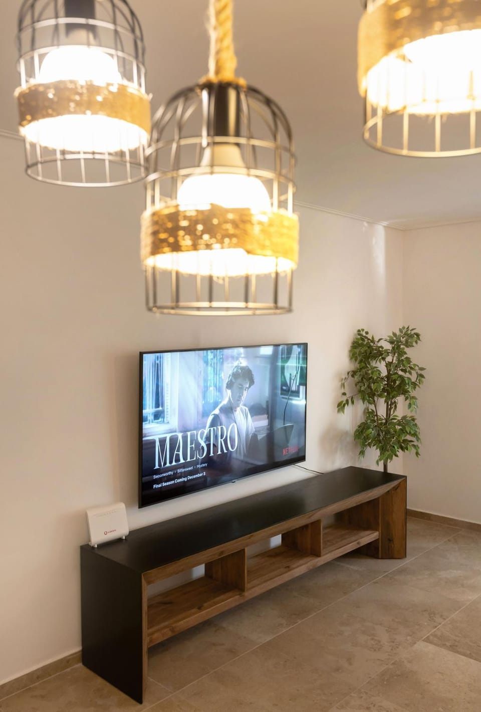 TV and multimedia