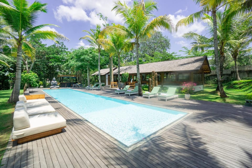 Garden, Garden view, Pool view, Swimming pool, sunbed