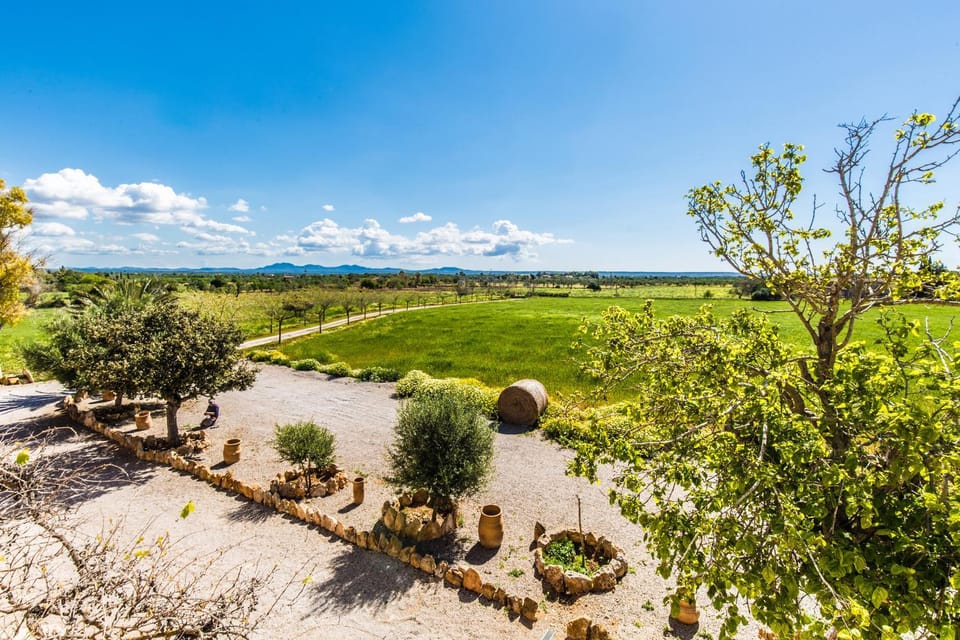 Bird's eye view, Garden