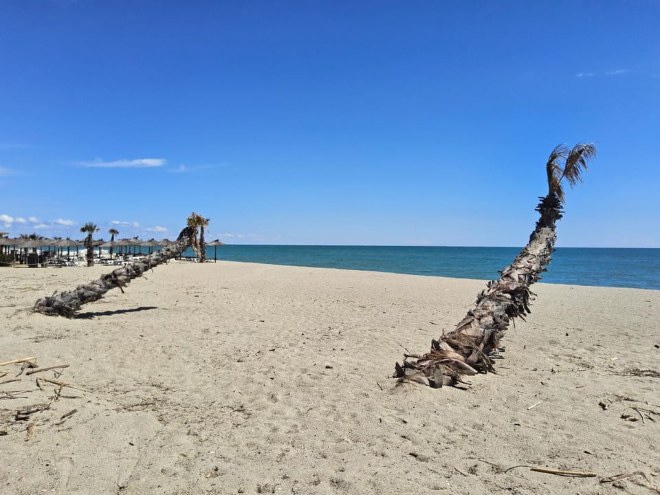 La Casote du Pêcheur Bord d'étang 8 Personnes Clim Mer House in Le Barcarès