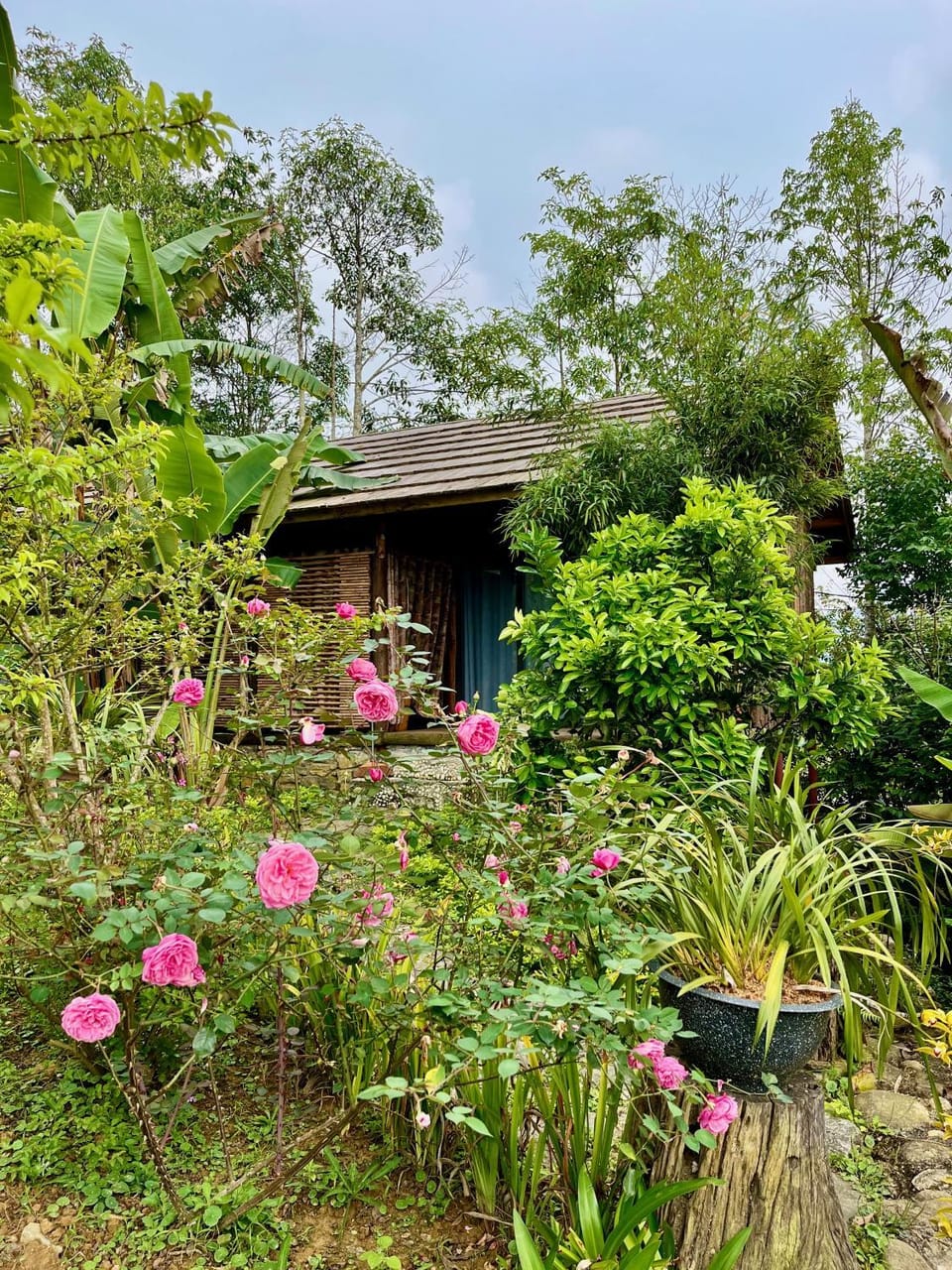 Day, Garden, Garden, Garden view