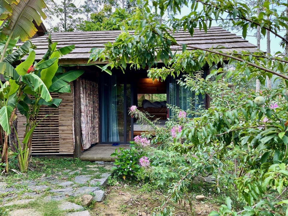 Day, Garden, Garden view
