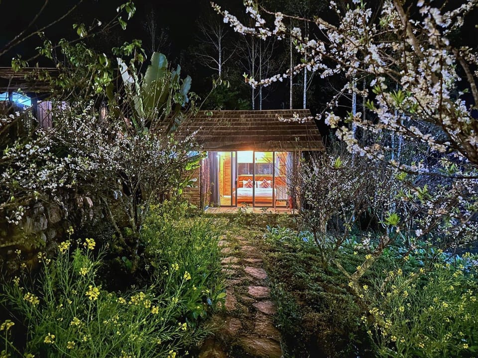 Spring, Night, Garden, Garden view