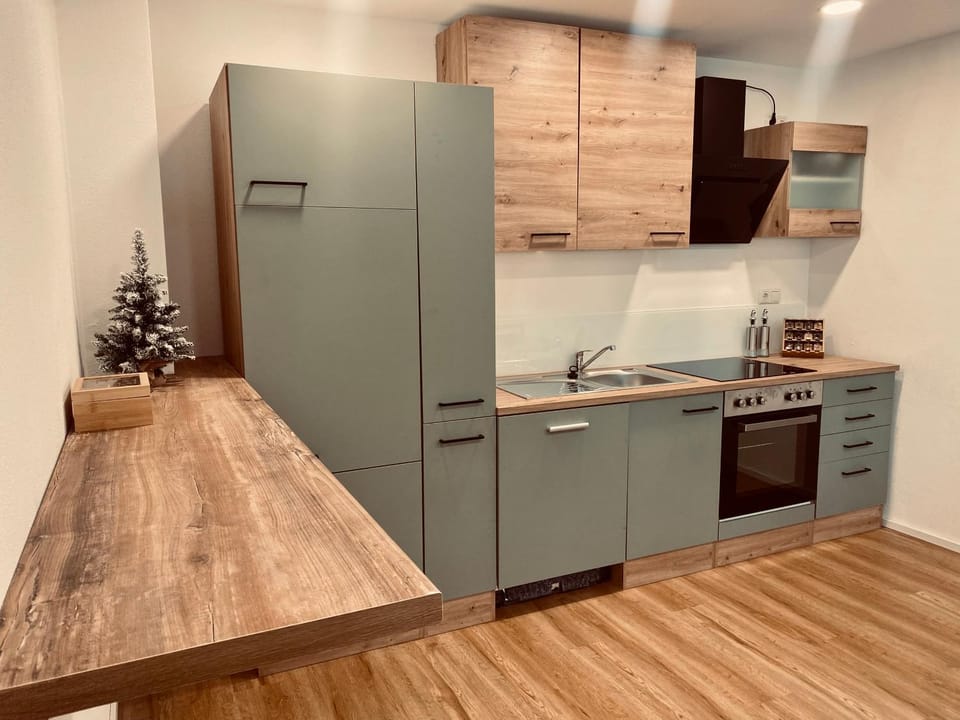 Kitchen or kitchenette, dishwasher, oven, stove