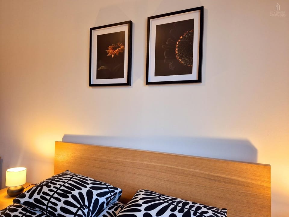 City Center Apartments - Moderna Brno Římské náměstí III Apartment in Brno