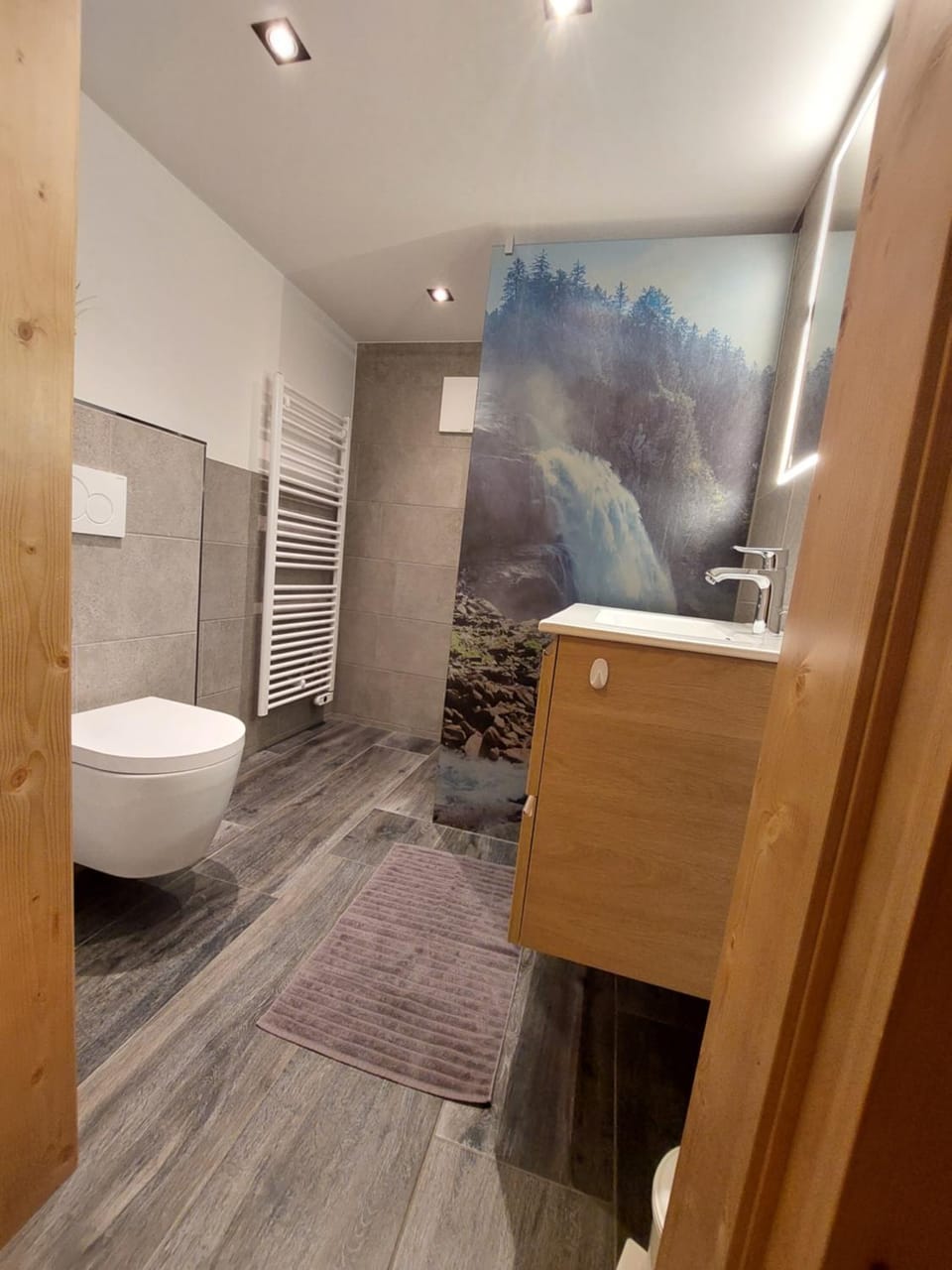 Toilet, Bathroom
