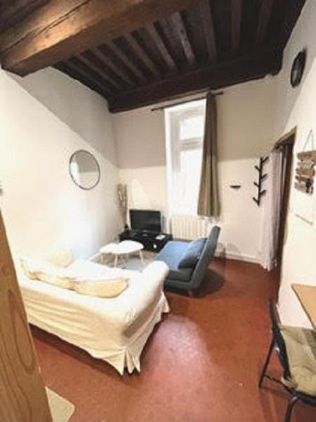 Le Cocon de Saint-Jean Apartment in Lyon