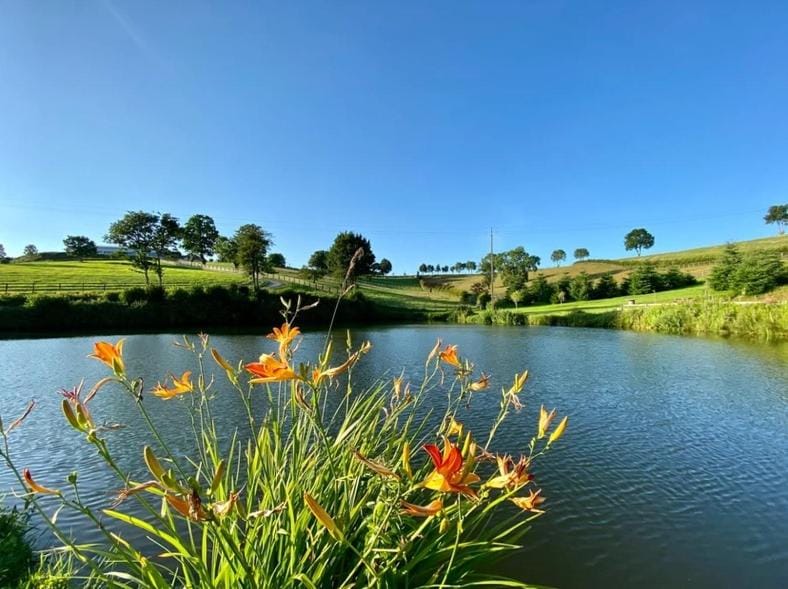Nearby landmark, Natural landscape, Garden, Lake view
