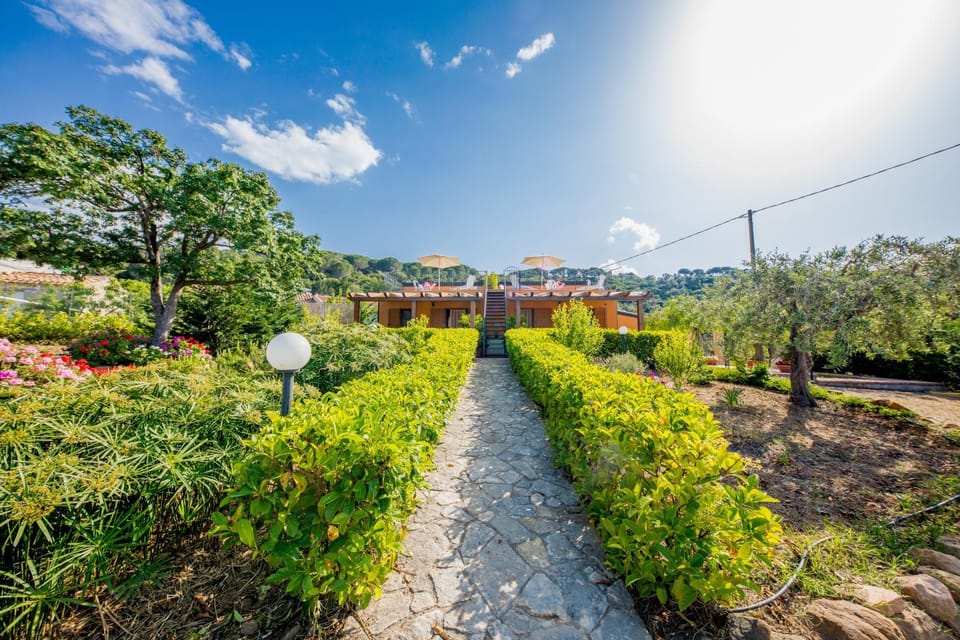 Facade/entrance, Garden