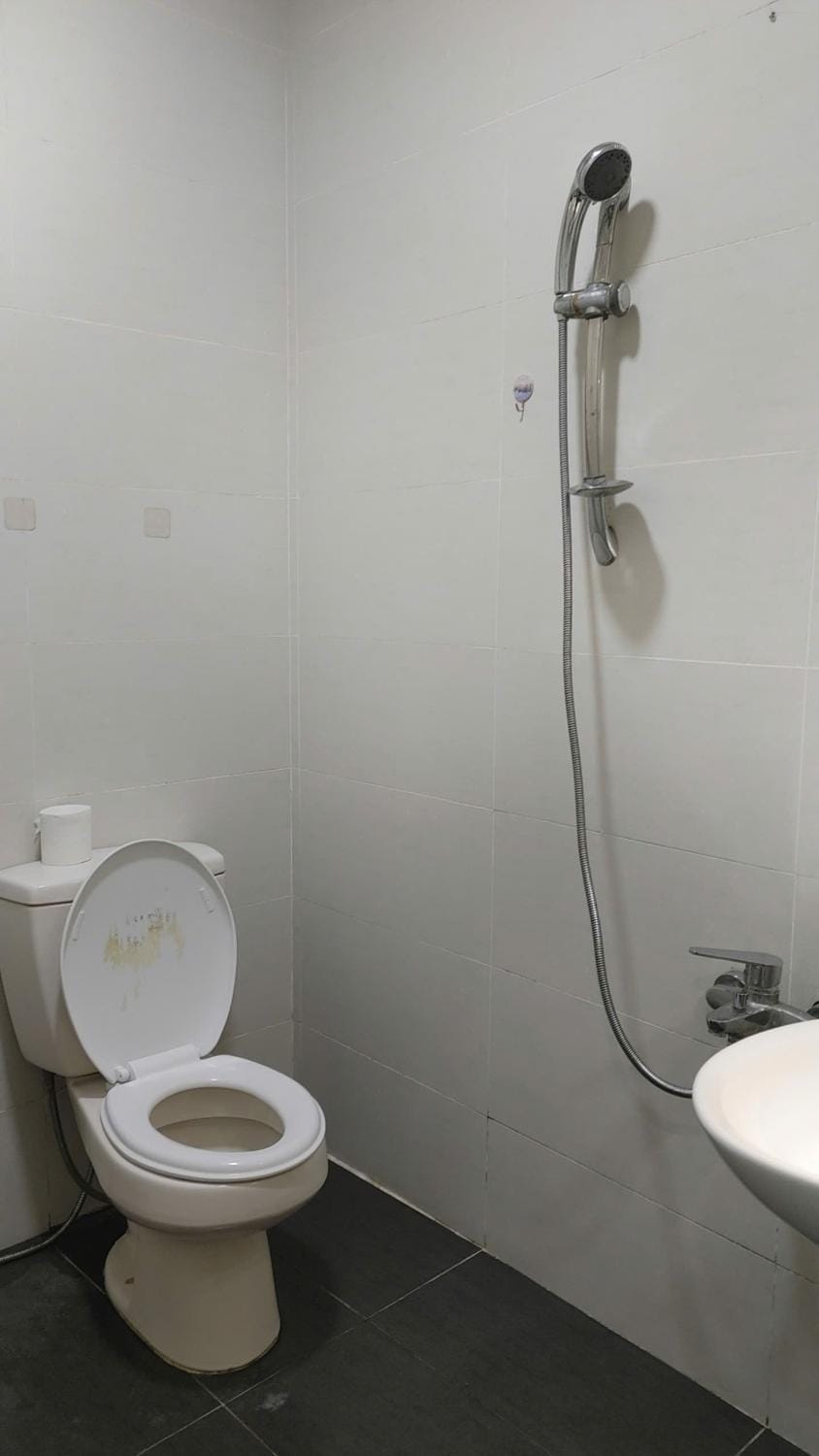 Shower, Toilet, Bathroom, bidet