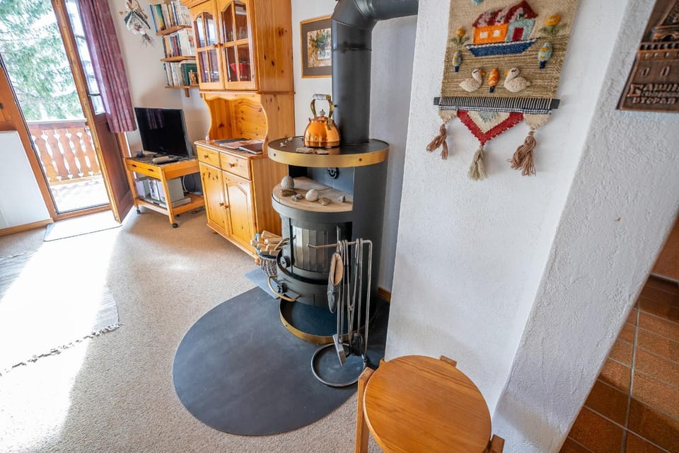 Vieux Valais Heidi Apartment in Canton of Valais