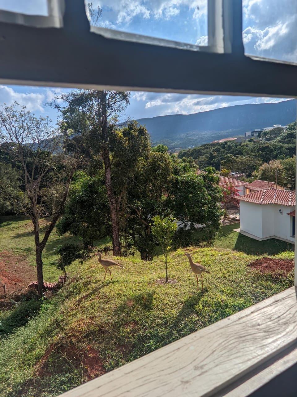 Spring, Natural landscape, Mountain view