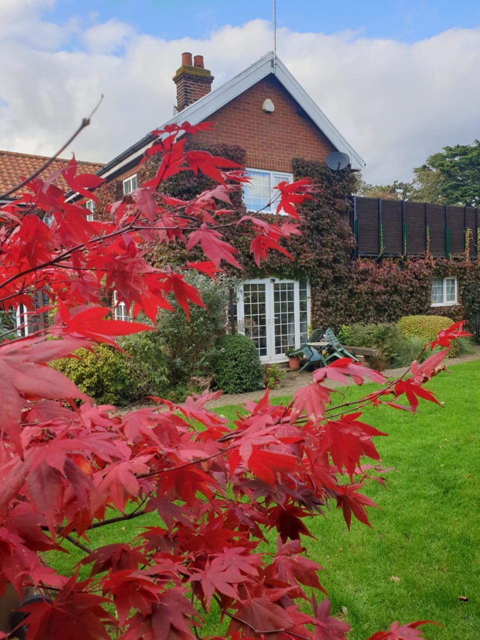 Property building, Facade/entrance, Garden, Garden view