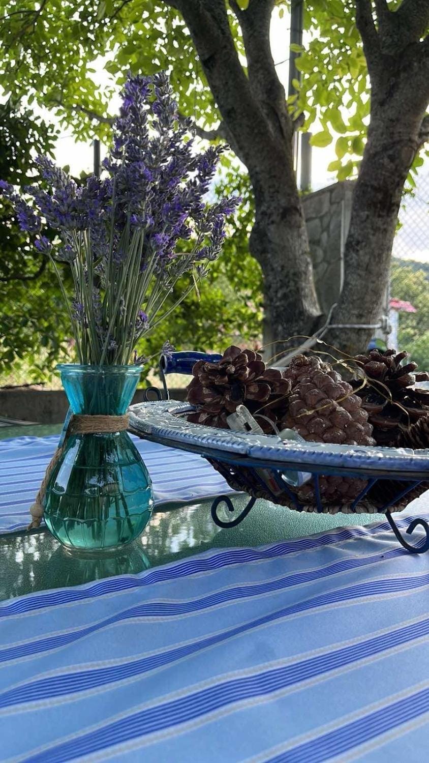 Ιξός Home Villa in Pieria, Greece