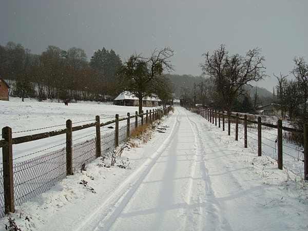 Day, Natural landscape, Winter