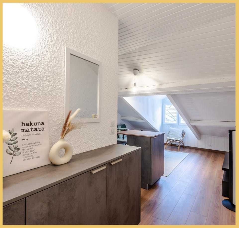 Chez Noé I T2 I Thonon Apartment in Thonon-les-Bains