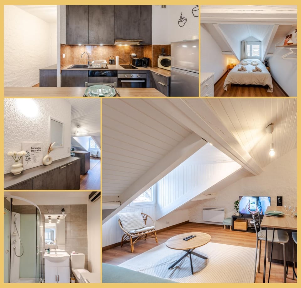 Chez Noé I T2 I Thonon Apartment in Thonon-les-Bains